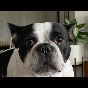 Meet your Posher, Nima